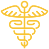 insurance icon